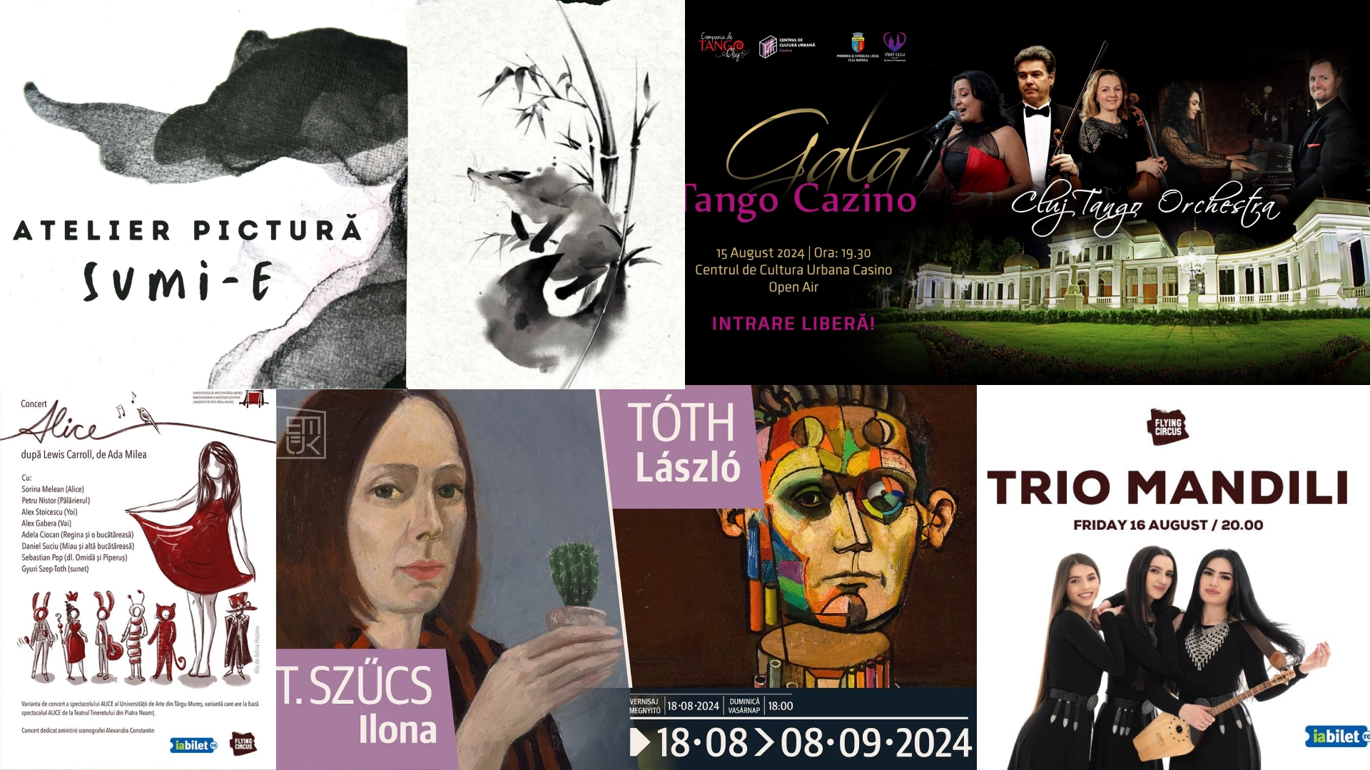 CooltCluj #3_evenimente culturale Cluj 12-18 august