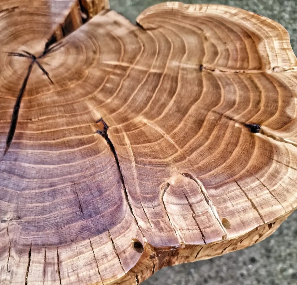 masă din lemn realizată de Burunov Florin, fondatorul The Wooden Goose
